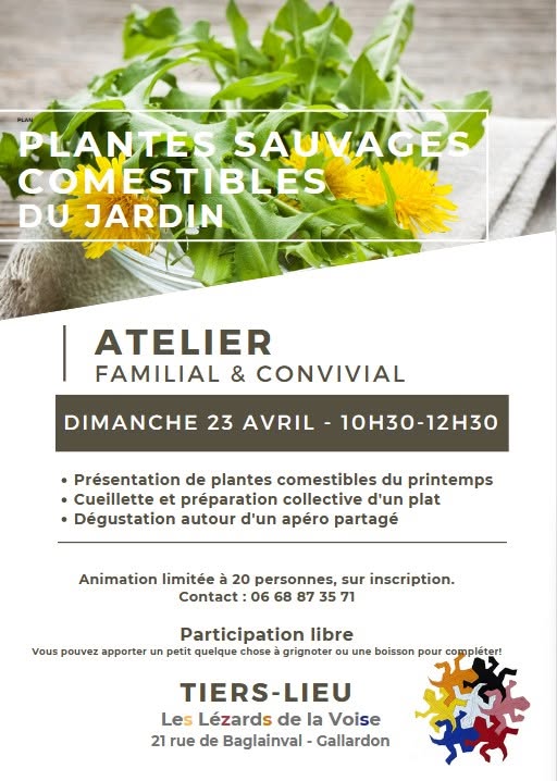 Plantes Sauvages Comestibles du Jardin