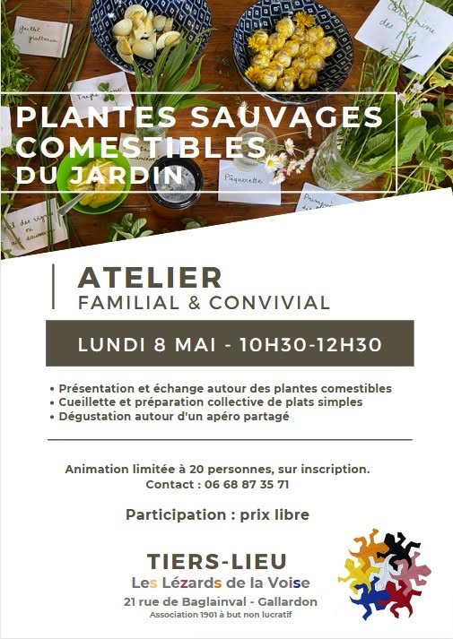 Plantes Sauvages Comestibles du Jardin