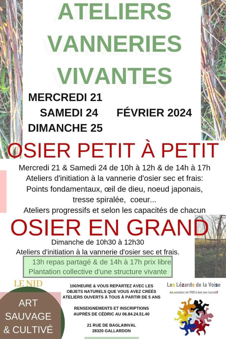 Atelier Vannerie : Osier Petit à Petit