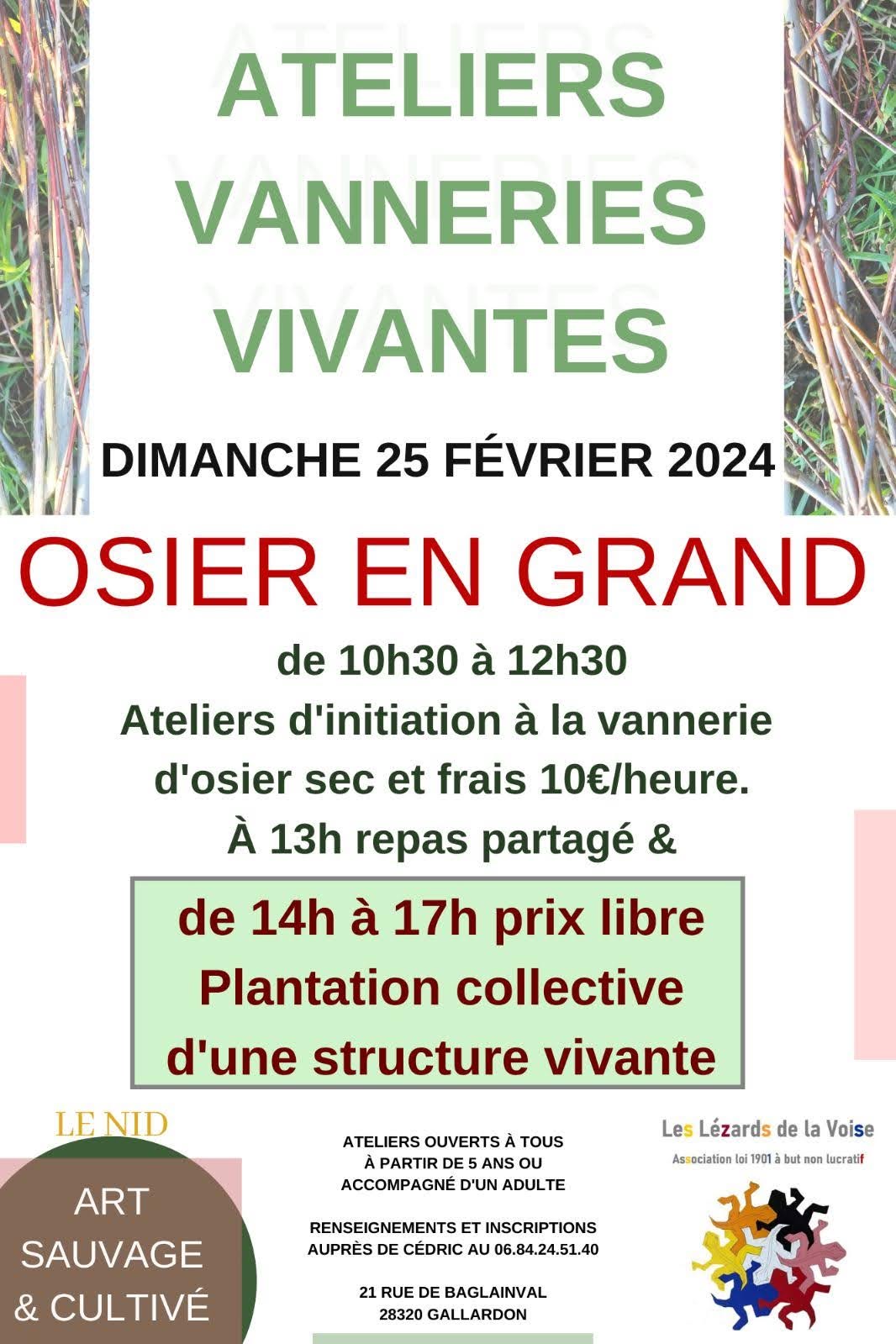 Atelier Vannerie : Osier en Grand