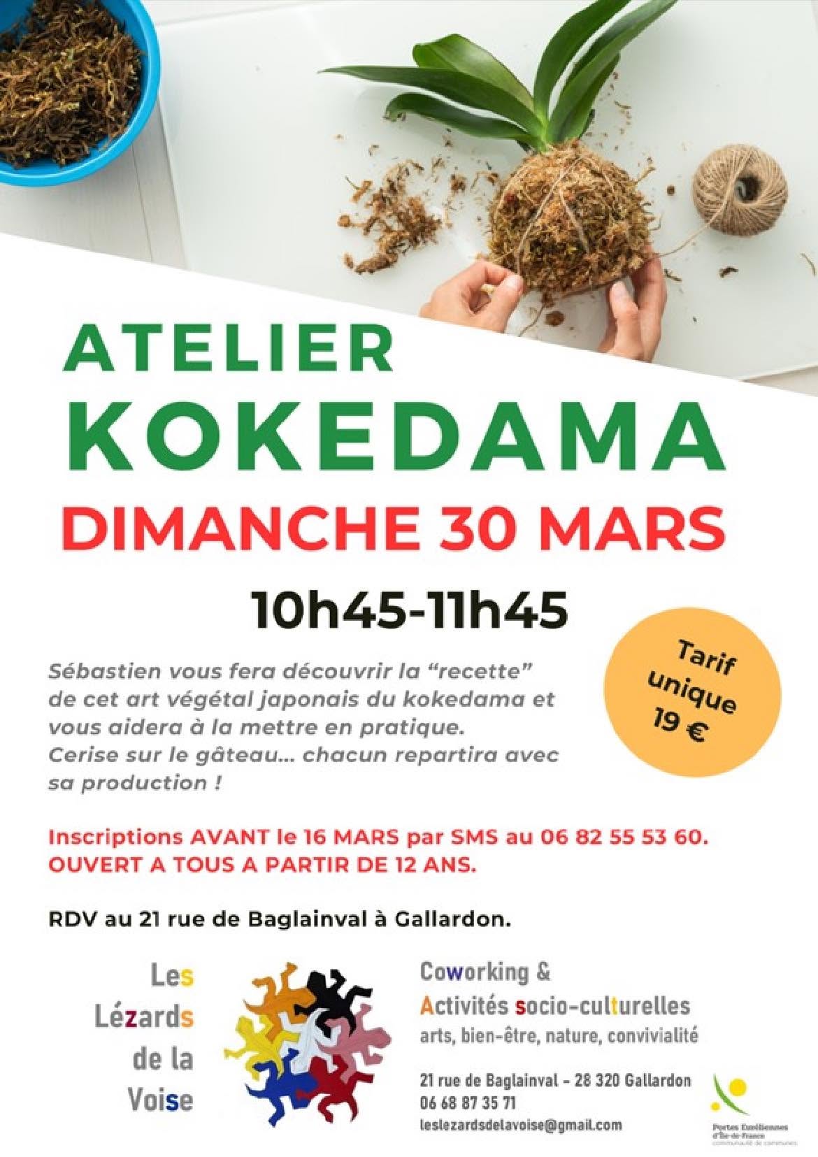 Atelier Kokedama